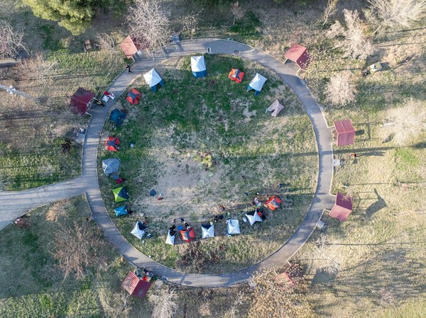 Bars abordables à paris : top choix pour une nuit économique